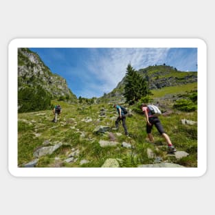 Group of hikers on a mountain trail Sticker
